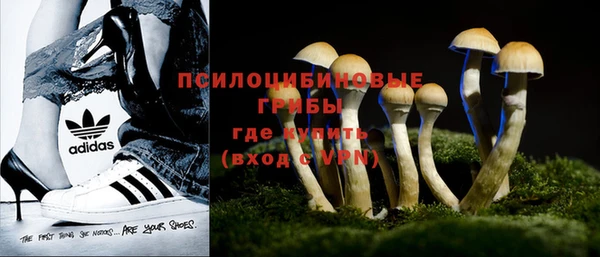 кокс Нягань
